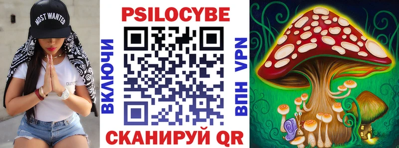 Псилоцибиновые грибы мухоморы  Купить где  Соль-Илецк 