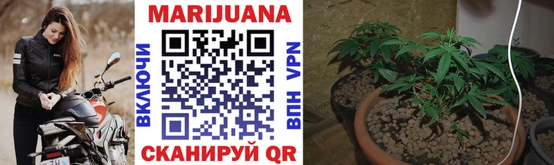 Купить где  Соль-Илецк  Канабис Ganja 